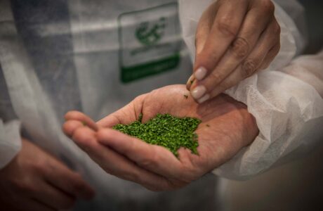 Mostra fotografica di Daniele Tamagni