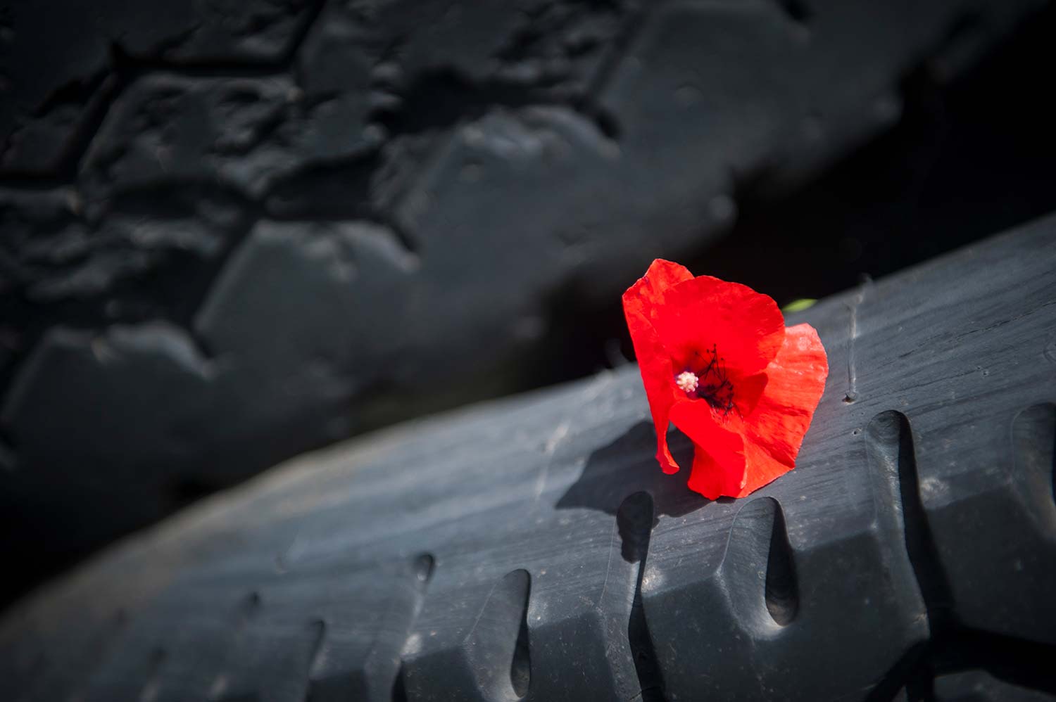 Mostra fotografica di Daniele Tamagni